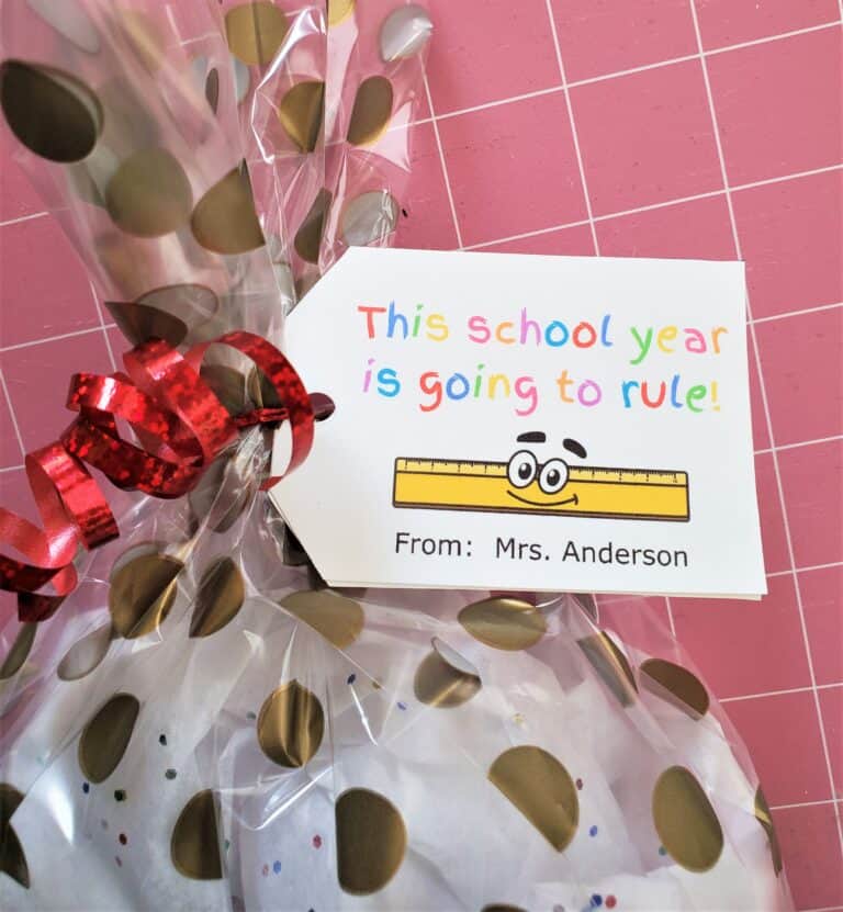 Free Printable Back To School Tags (Editable)