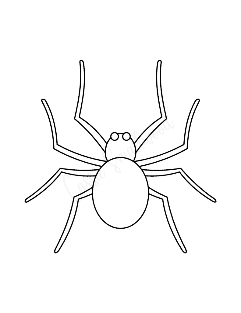 Blank Basic Spider Template to Color in and cut out