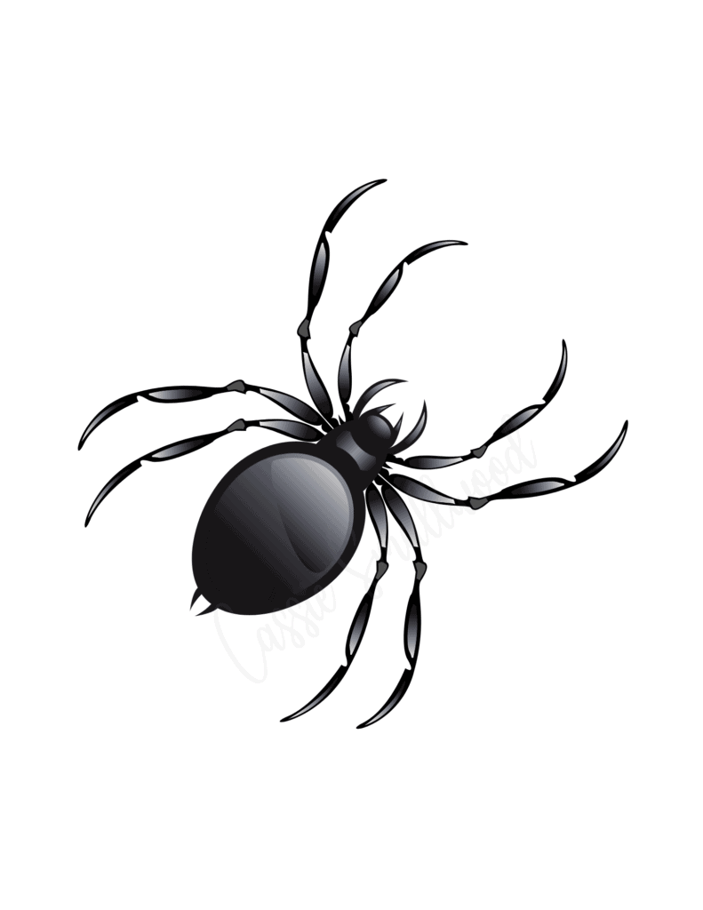 Large scary black spider template realistic