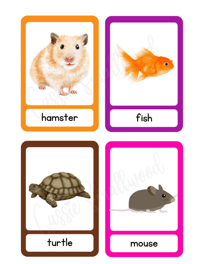 pet animal flashcards free printable pdf, learning flashcards for kids, preschool flashcards todddlers