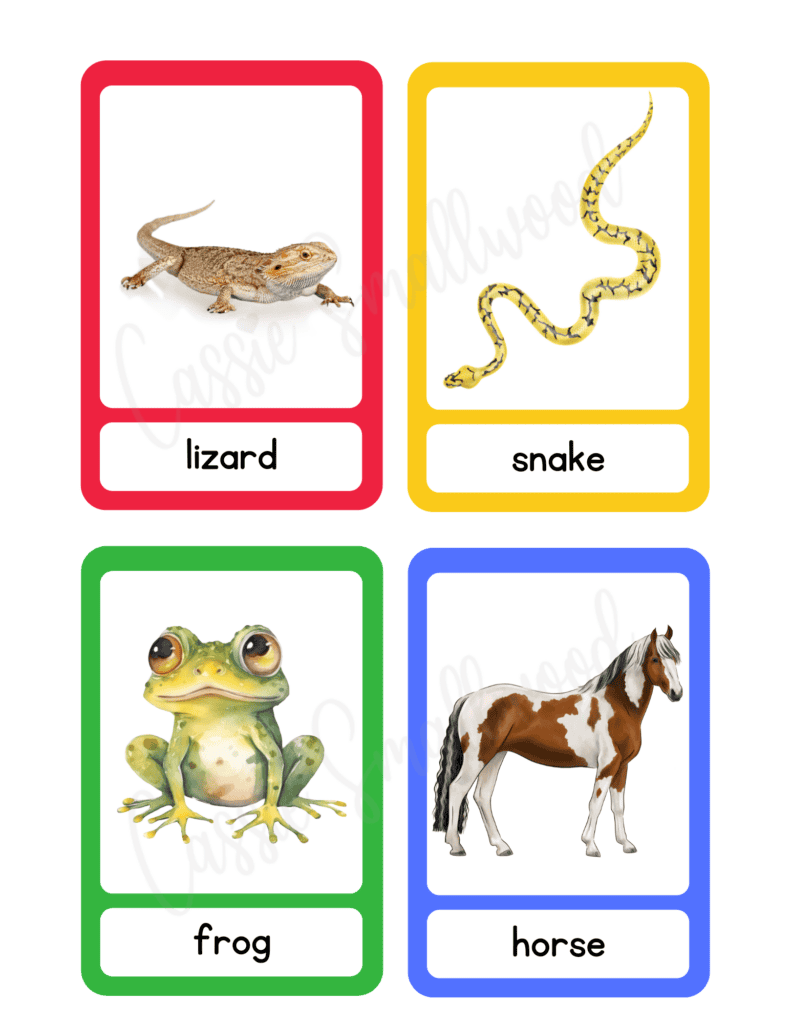 free printable animal flashcards toddlers pdf, large preschool flashcards learning study English vocabulary