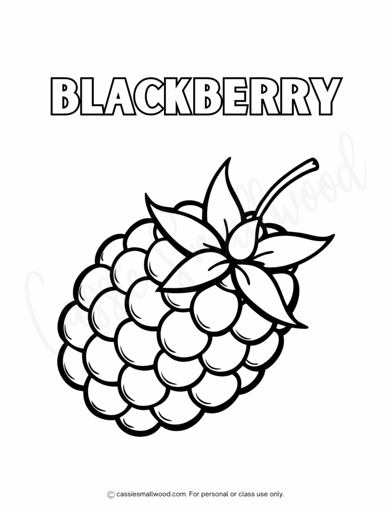 blackberry coloring page free printable pdf, fruit coloring sheets