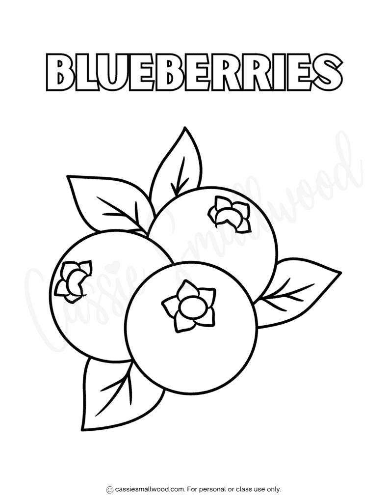 blueberries coloring page free printable pdf, fruit coloring sheets for kids