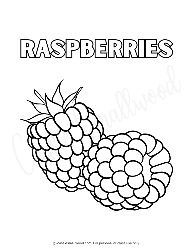 raspberries coloring page free printable pdf, fruit coloring sheets for kids