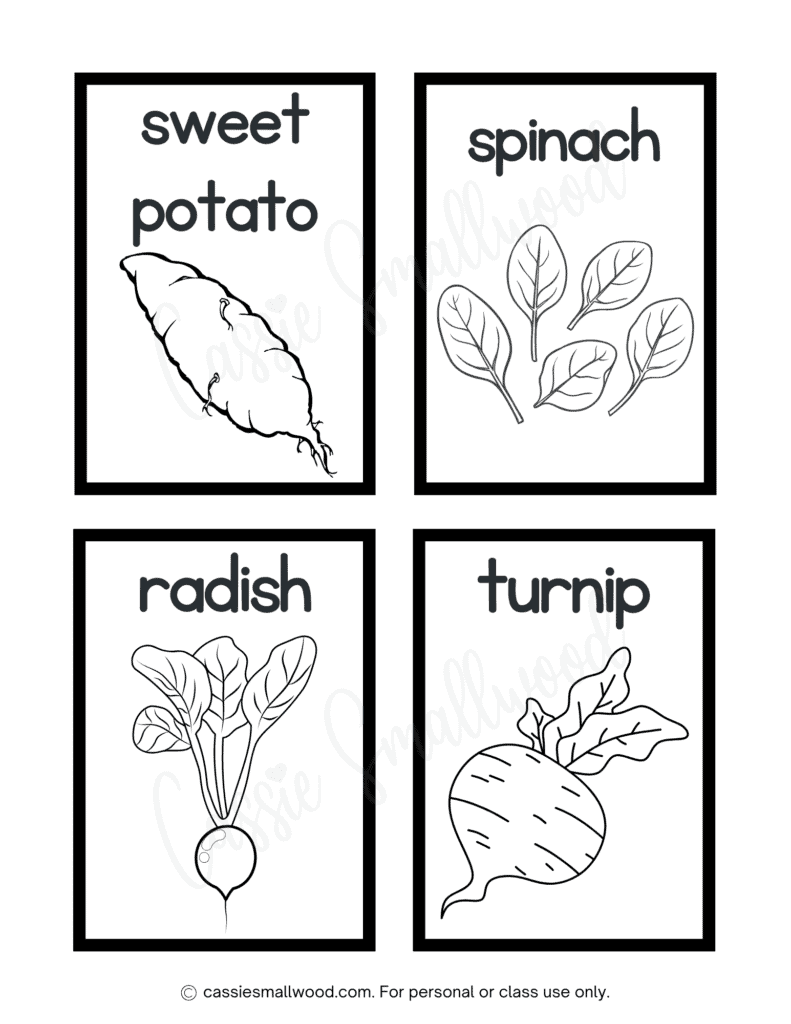 free printable veg flashcards for preschool, English vegetables flash cards, sweet potato flashcard, spinach flashcard, radish flashcard, turnip flashcard