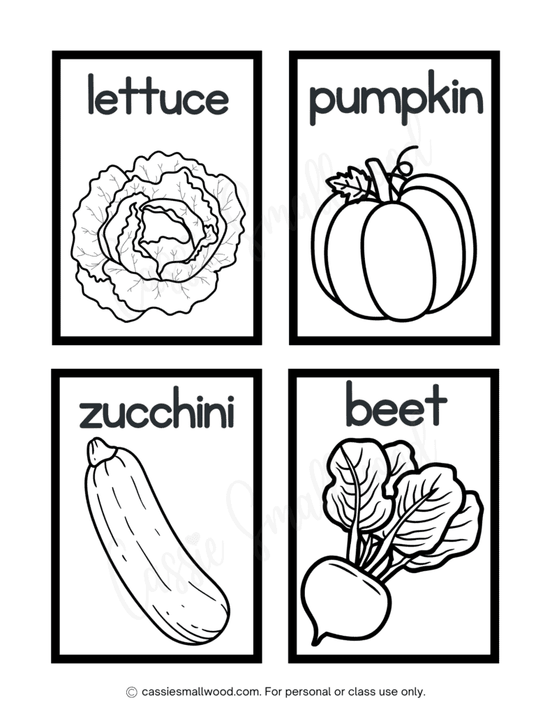 vegetable flash cards to color free printable pdf, lettuce flashcard, pumpkin flashcard, zucchini flashcard, beet flashcard, preschool veggie flashcards