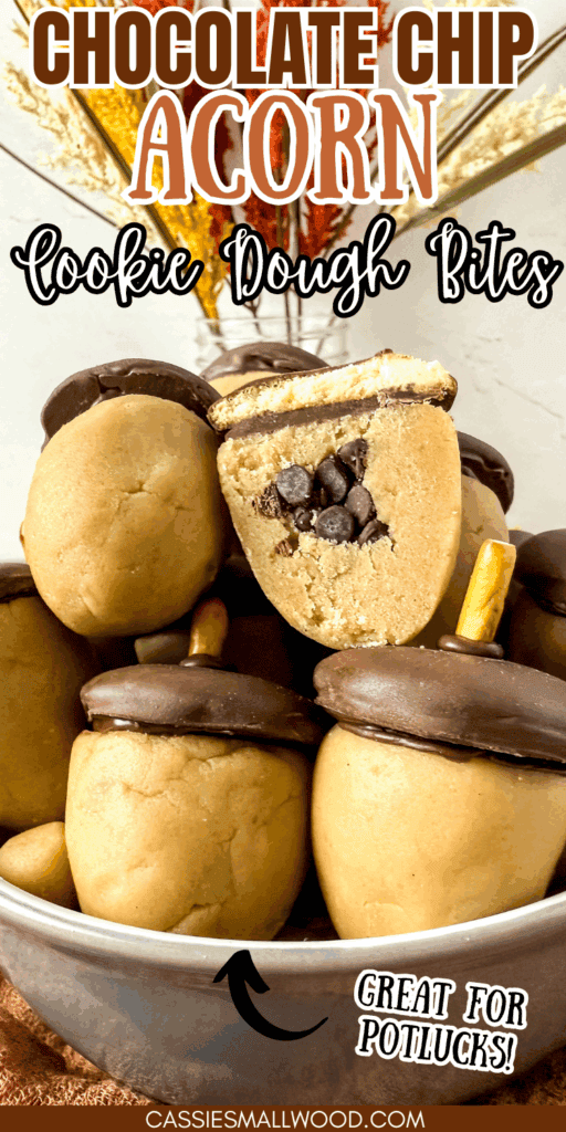 acorn chocolate chip cookie dough fall party treats recipe easy no bake fall dessert cute
