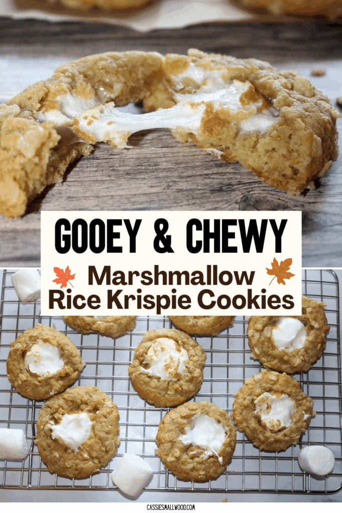 marshmallow rice krispie brown butter cookies fall party dessert idea