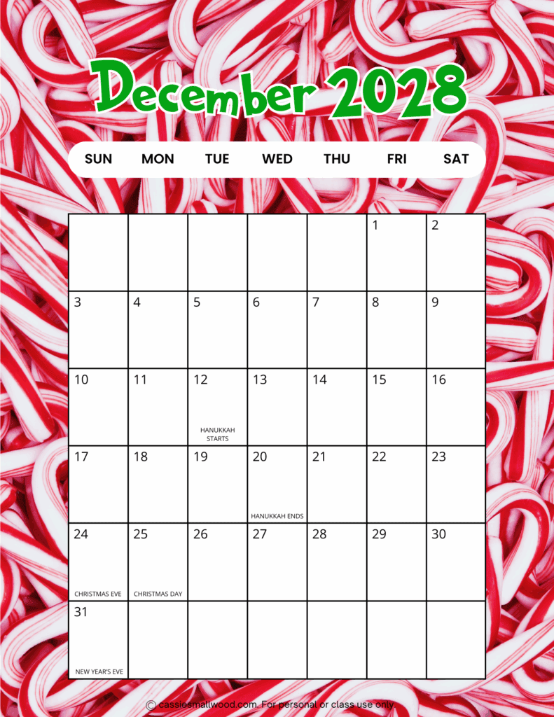 Free printable portrait December 2028 calendar pdf, vertical cute 2028 monthly wall calendar with holidays full page sheet colorful school aesthetic