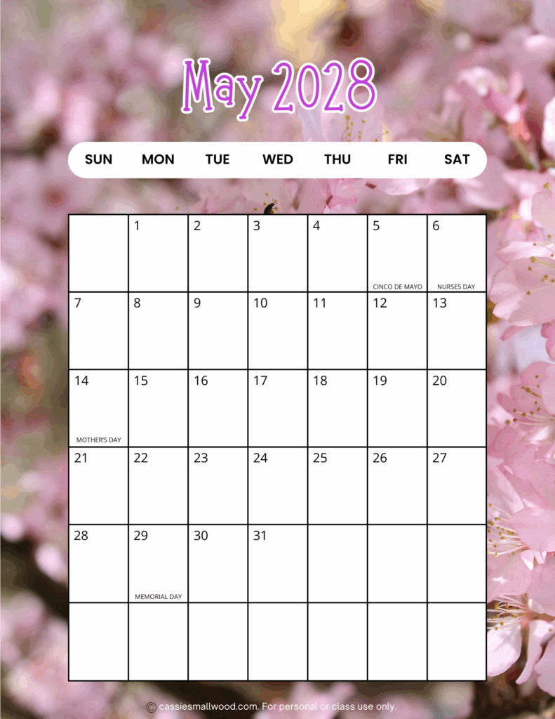 Free printable portrait May 2028 calendar pdf, vertical cute 2028 monthly wall calendar with holidays full page sheet aesthetic
