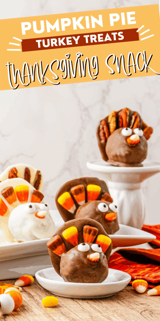 turkey Themed Thanksgiving dessert bites pumpkin pie balls dipped in chocolate and white chocolate with candy corn feathers for fall parties