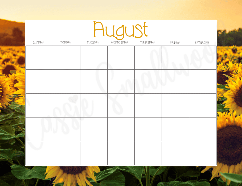 pretty blank calendar free printable pdf, cute blank calendar monthly free download, downloadable blank calendar template, blank August calendar free printable pdf