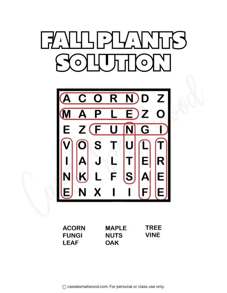 simple fall word search with answers free printable pdf, easy fall word search with answer key kindergarten, preschool, toddler
