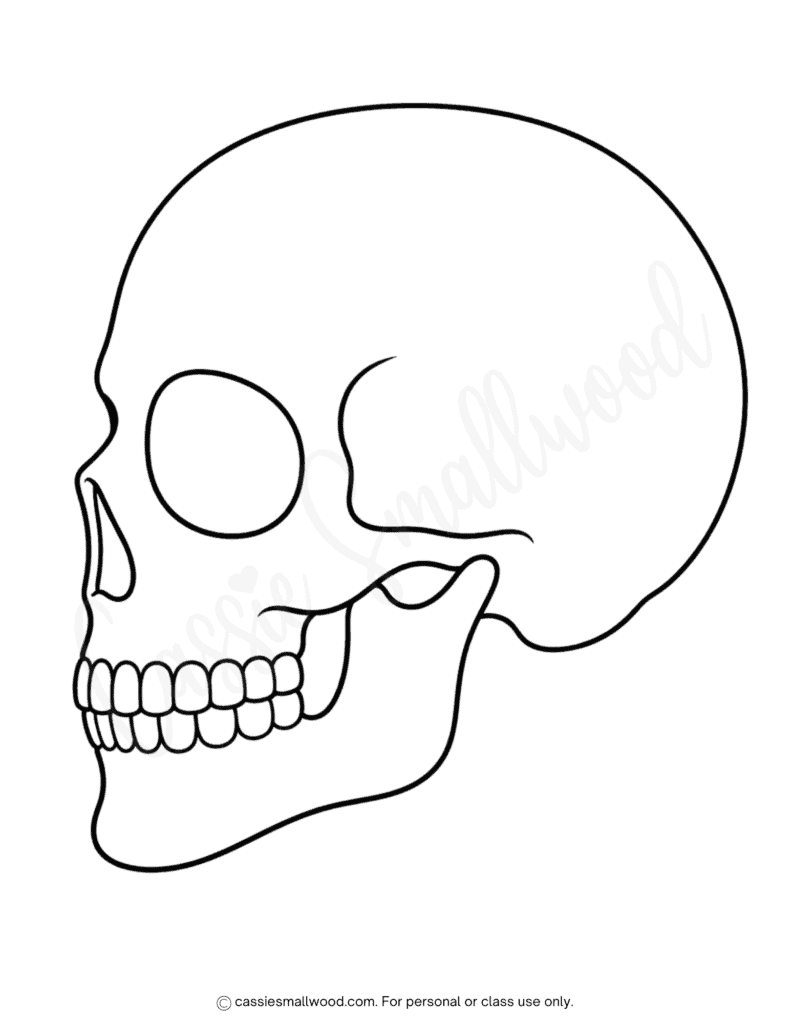 free printable large side skull template pdf, big skull silhouette outline, side skull stencil easy, side view skull pattern simple