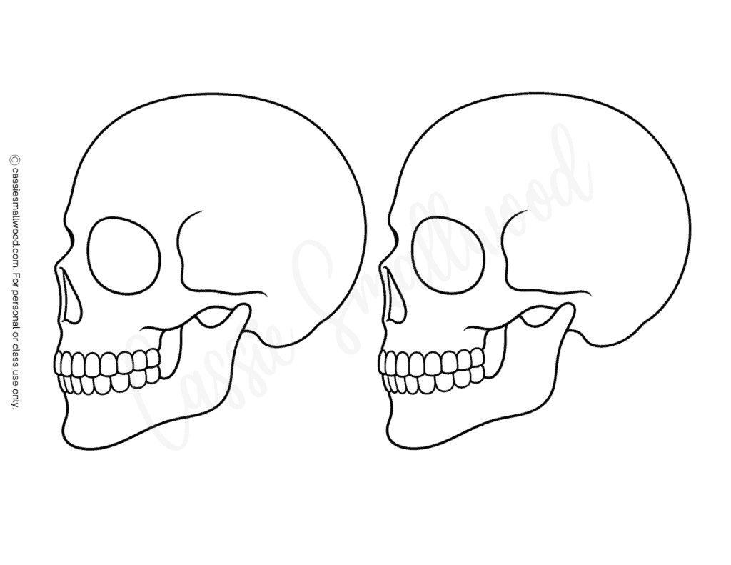 medium side skull template free printable pdf, easy side view skull outline, simple silhouette skull stencil, basic side skull pattern free download